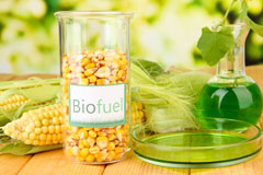 Bracorina biofuel availability