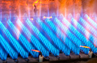 Bracorina gas fired boilers